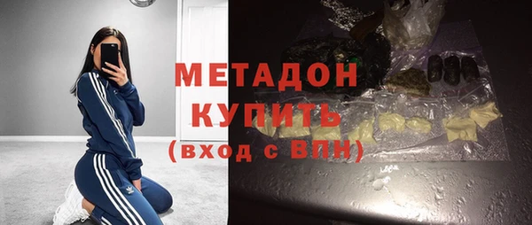 прущие грибы Балахна