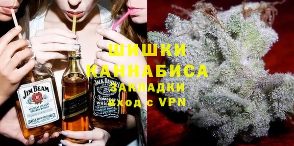 прущие грибы Балахна