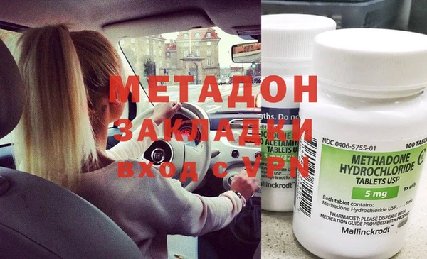 прущие грибы Балахна