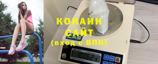прущие грибы Балахна