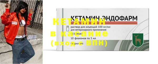 прущие грибы Балахна