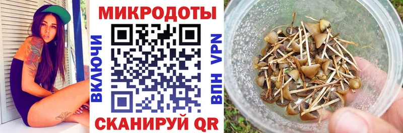 Псилоцибиновые грибы Magic Shrooms Хилок